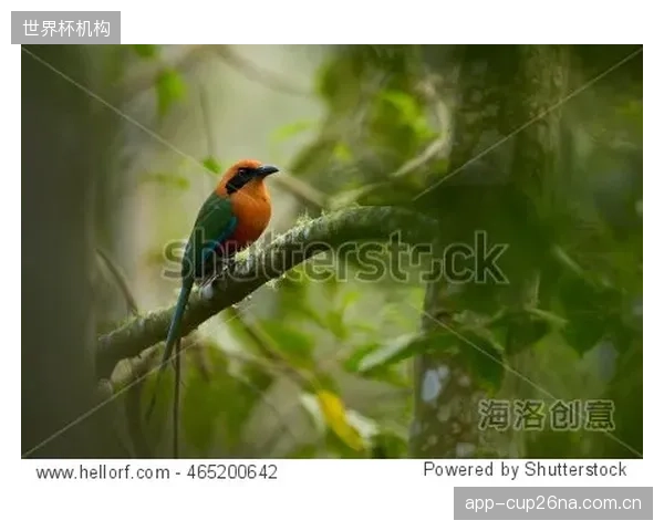 RainBird与JohnDeereAercore的协同：在圆石滩，看液压打孔如何为智能灌溉系统的精准滴灌创造数据闭环